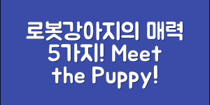 로봇강아지뽀뽀의 매력 5가지!