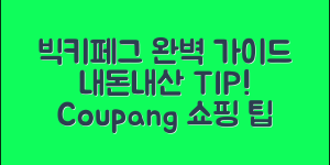 빅키페그 내돈내산 완벽 가이드