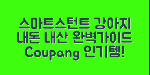스마트스턴트강아지 내돈내산 완벽 가이드
