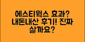 에스티웍스 내돈내산, 진짜 효과 있을까요?