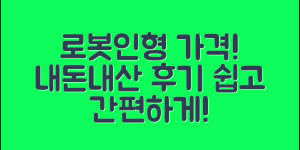 누구나 쉽게 알아보는 로봇인형가격 내돈내산
