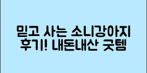 믿을 수 없는 소니강아지 내돈내산 후기!
