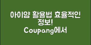 아이얌 정보, 어떻게 활용할 수 있을까?