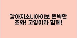 강아지소니아이보 추천, 고양이와의 완벽한 조화 5가지