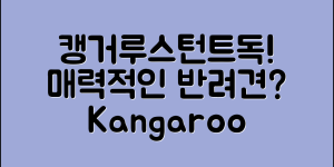 캥거루스턴트독, 정말 매력적인 반려견일까요?