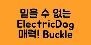 믿을 수 없는 electricdog뽀뽀의 매력!