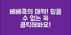 믿을 수 없는 베베쿡빼빼롱뻥의 매력 대공개!