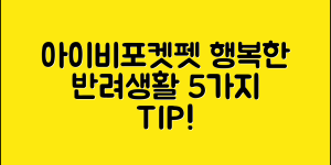 아이비포켓펫으로 행복한 반려생활 5가지 팁