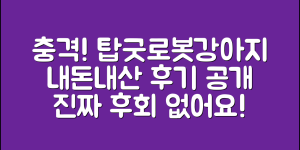 충격적인 탑굿로봇강아지, 내돈내산 후기!