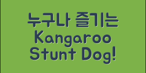 누구나 쉽게 즐기는 kangaroo 스턴트독 로봇!