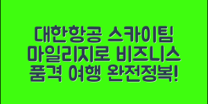 대한항공 스카이팀 좌석 승급 완전정복 – 마일리지로 누리는 비즈니스 클래스의 품격