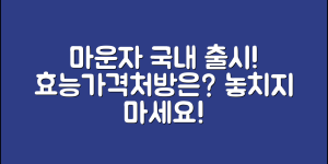 마운자로 국내 출시 예정일 (+효능, 가격, 처방 기준 등)