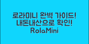 rolamini 로봇 내돈내산 완벽 가이드