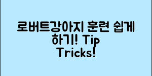 누구나 쉽게 훈련할 수 있는 로버트강아지 팁
