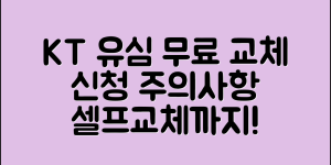 KT 유심 무료 교체 방법 총정리 (+신청, 교체시 주의사항, 일정, 셀프교체 등)
