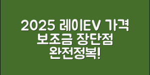 2025 레이EV 실구매 가이드: 가격, 보조금, 장단점까지 완전정복