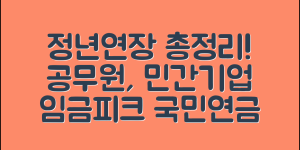 정년연장 시행시기 총정리 (+공무원, 공공기관, 민간기업, 임금피크제, 국민연금 등)