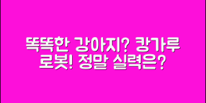 캉가루로봇강아지, 정말 똑똑할까요?