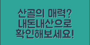 산골사각사각, 내돈내산의 진짜 매력은?