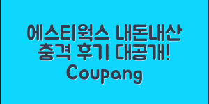 충격적인 에스티웍스 내돈내산 후기!