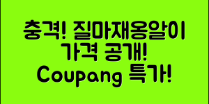충격적인 질마재옹알이 가격 공개!
