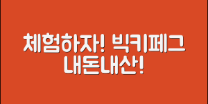 누구나 쉽게 체험해보는 빅키페그 내돈내산!