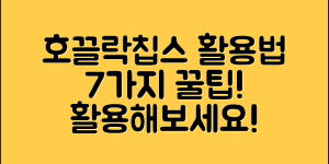호끌락칩스 활용법 7가지