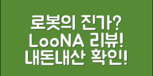 loona로봇 내돈내산, 그 진가가 무엇일까요?