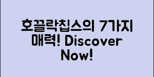 호끌락칩스의 매력 7가지 탐구하기