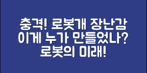 충격적인 로봇개장난감, 이걸 누가 만들었을까?