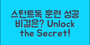 스턴트독 훈련, 성공 비결은 무엇일까요?
