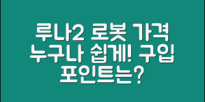 누구나 쉽게 알아보는 루나2세대 로봇 가격